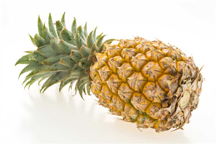 ¿Cuál es la mejor epoca para comer piña?