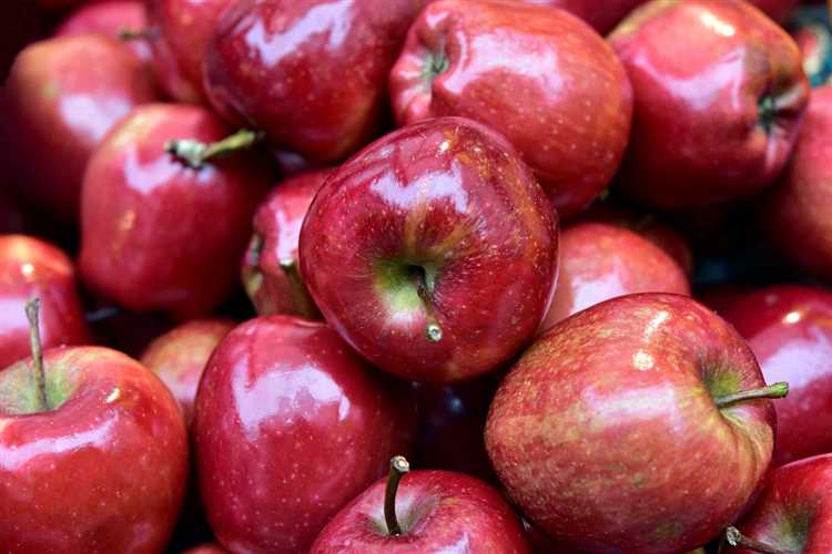 Temporada de la manzana: cuándo y dónde encontrarlas