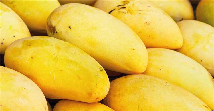 Beneficios para la salud de consumir mangos