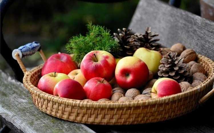 ¿Cuáles son las frutas de Navidad?