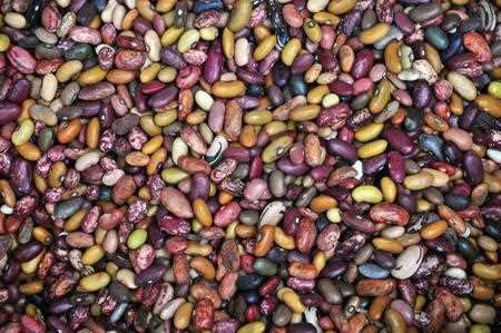 Los tipos de frijoles más comunes en México