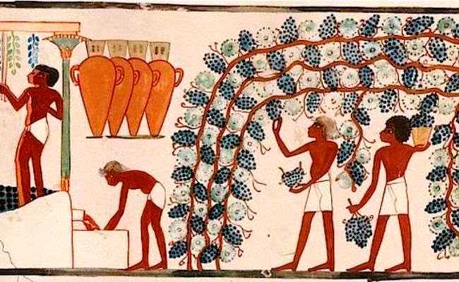 La vid y su cultivo en la antigua Mesopotamia