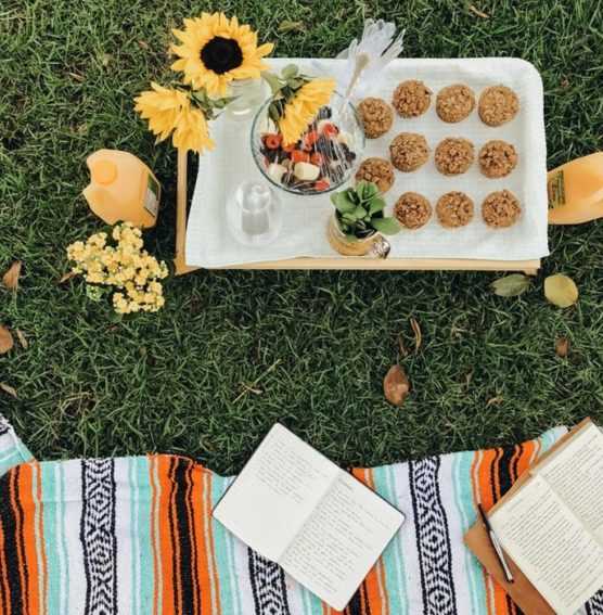 ¿Qué actividades se pueden hacer en un picnic?