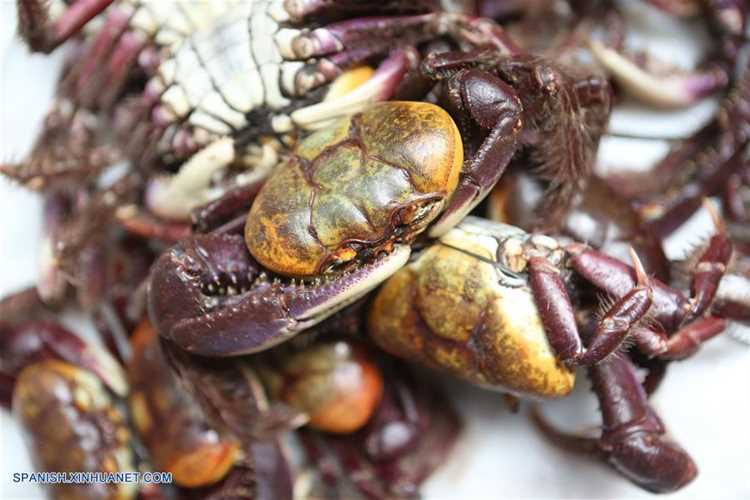 Carnes y pescados en la cocina brasileña