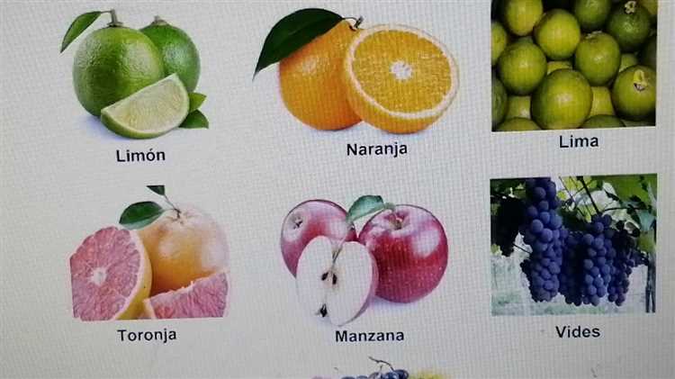 Las frutas que trajeron los españoles a América