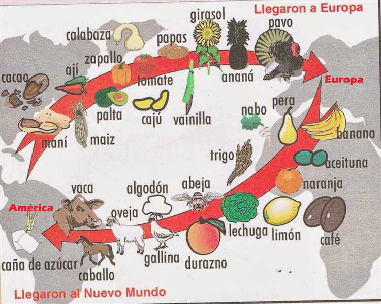 ¿Qué fruta trajeron los españoles?