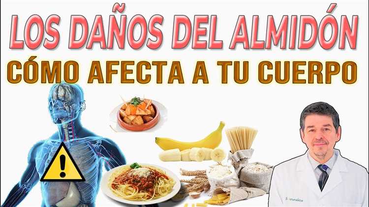 ¿Qué hace el almidón en el cuerpo?