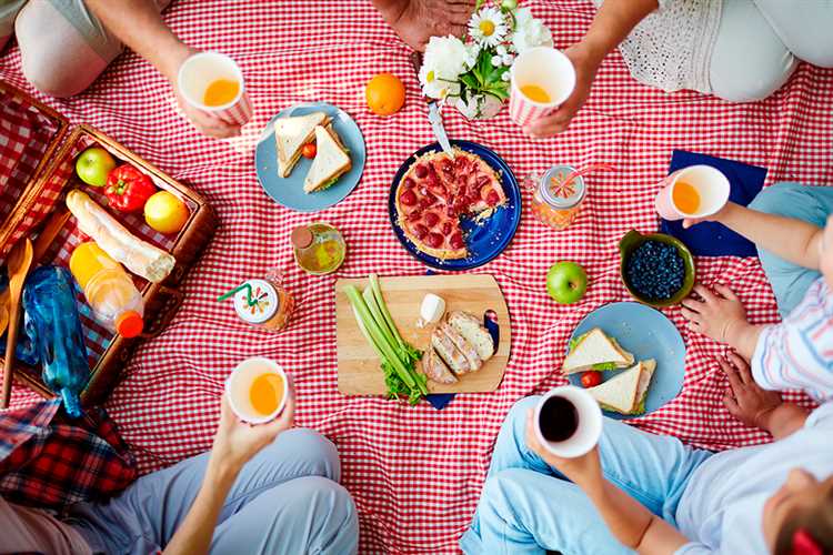 Actividades divertidas para hacer durante un picnic en familia