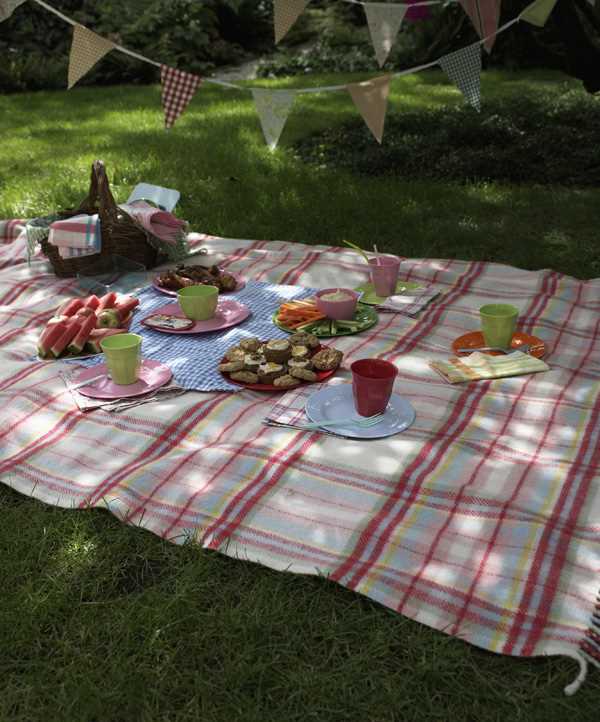 ¿Qué se necesita para hacer un picnic familiar?